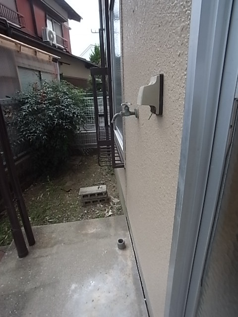 庭